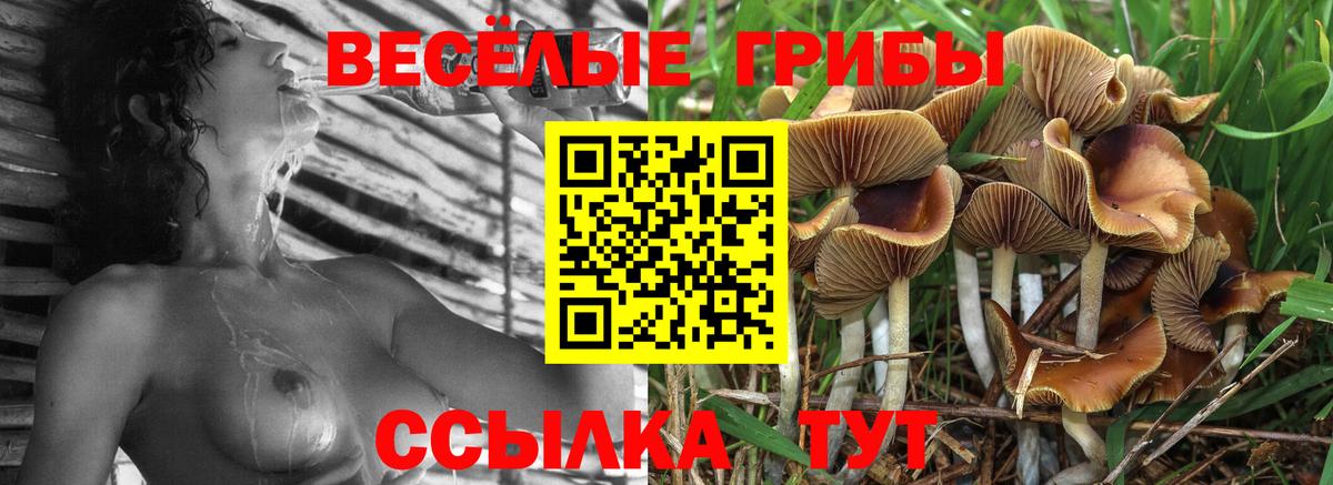 Галлюциногенные грибы MAGIC MUSHROOMS Туапсе